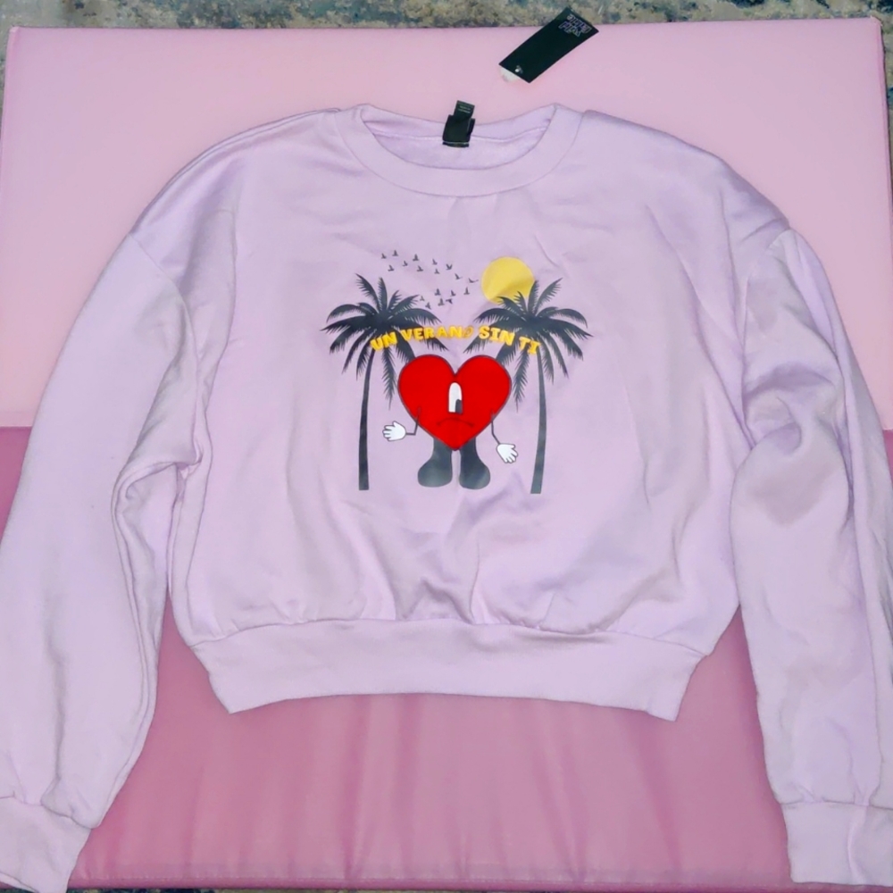 Bad bunny purple cropped wild fable  sweater